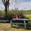 04 unterwegs im zbinger forst 8